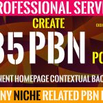 Build 85 Homepage Posts DA up to 60 Plus PBNs